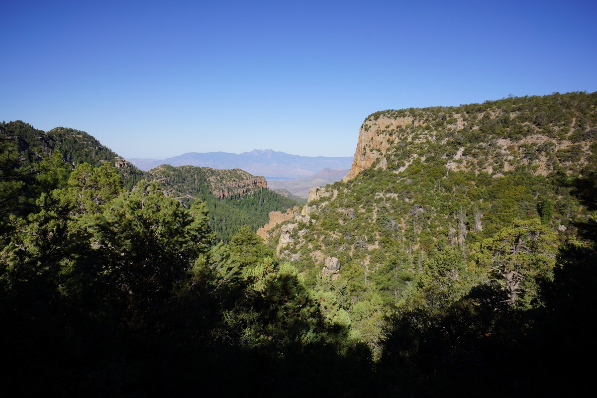 View from the Parker Creek trail below Carr Ridge in the sierra ancha wilderness