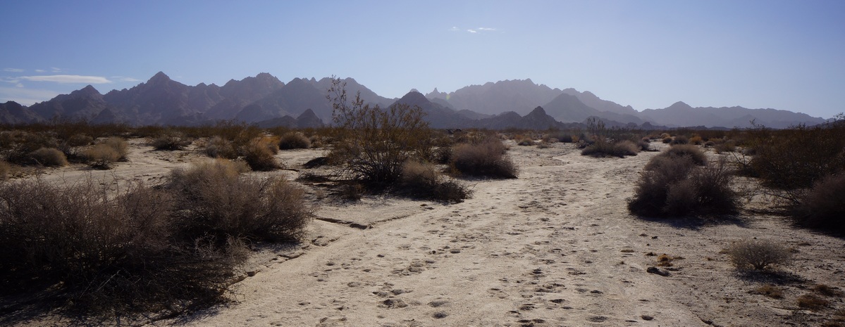 distant view of the coxcomb mountains in joshuia tree national park