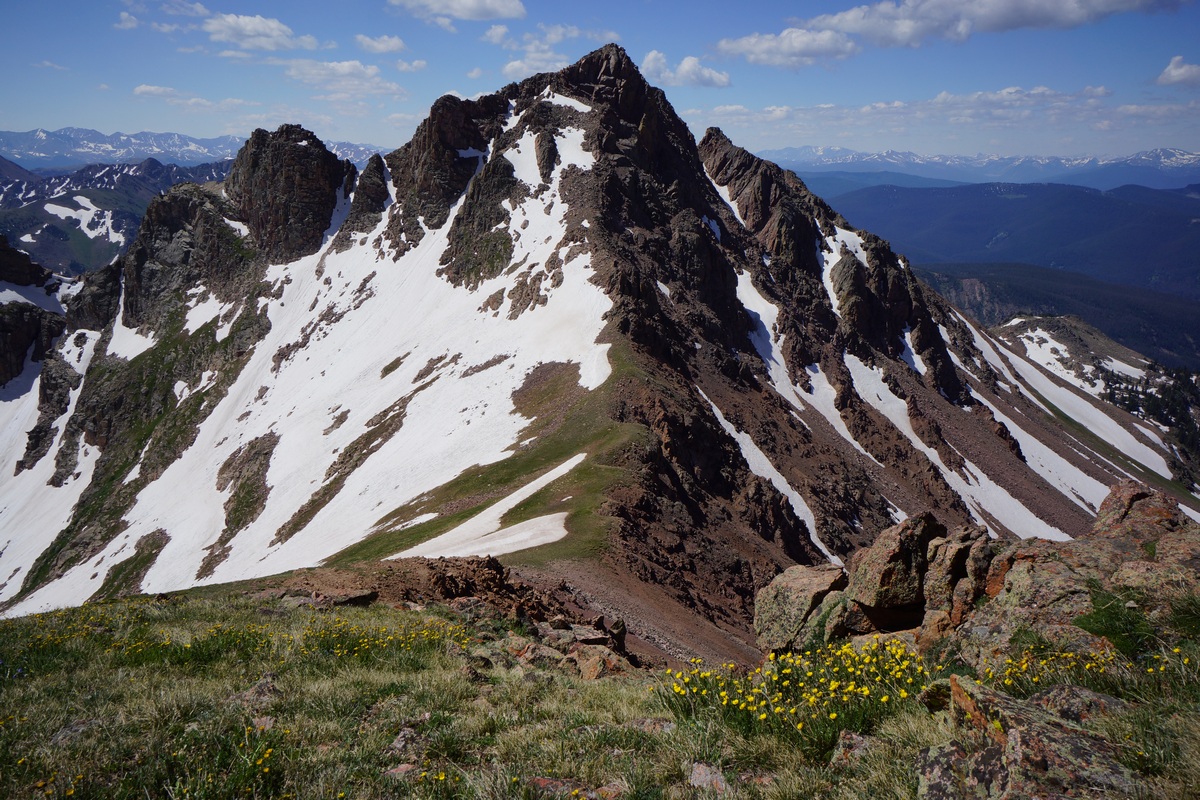 view of snow peak with snow and yellow wildflowers in july - gore mountains