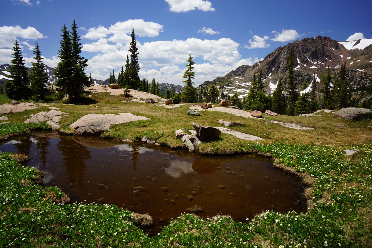 small but beautiful pond in the high county of the eagles nest wilderness