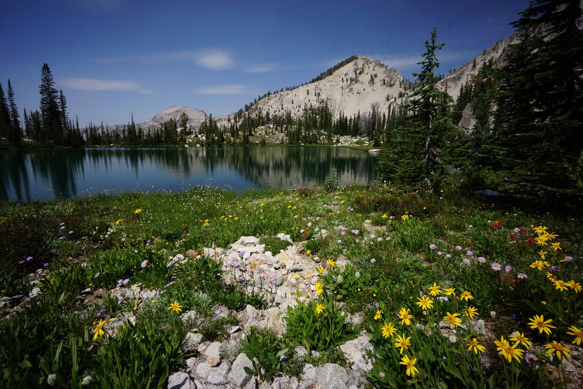 sawtooth wilderness mountain behind alpine lake with colorful wildflowers