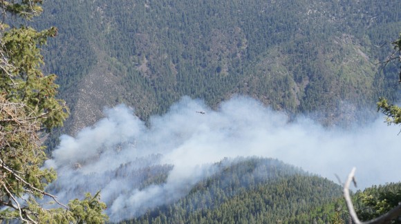 helicopter flying above a forest fire