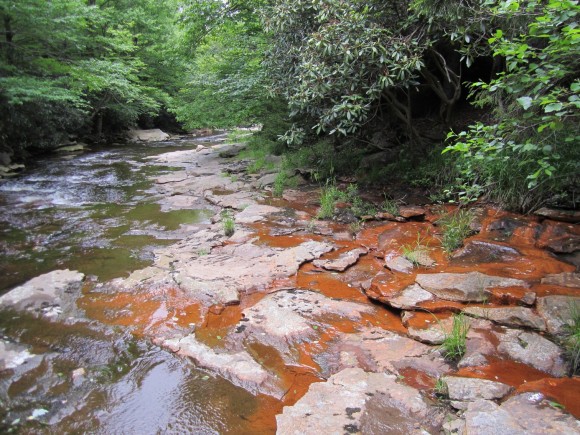 Upper Red Creek Trail