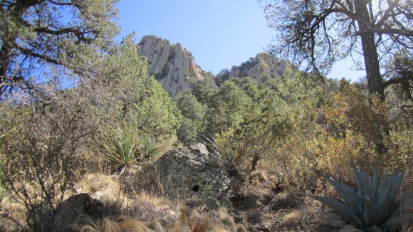 chisos mountains backpacking