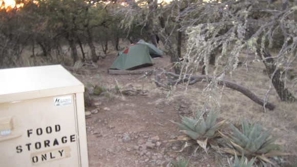 outer mountain loop campsites in the chisos mountains