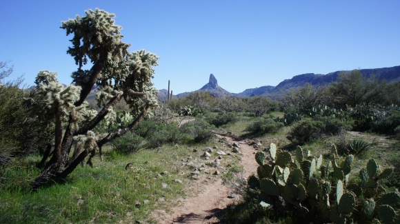 weaver's needle in distance from black mesa trail