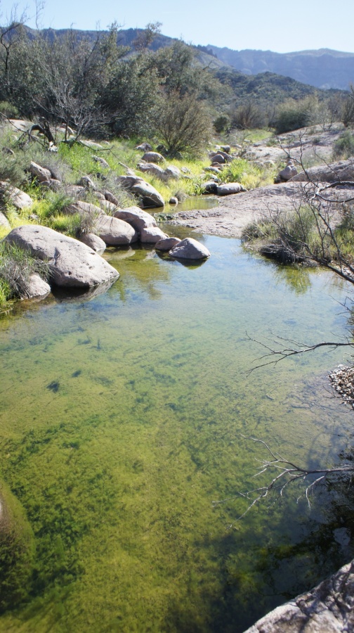filtering water from little boulder canyon creek