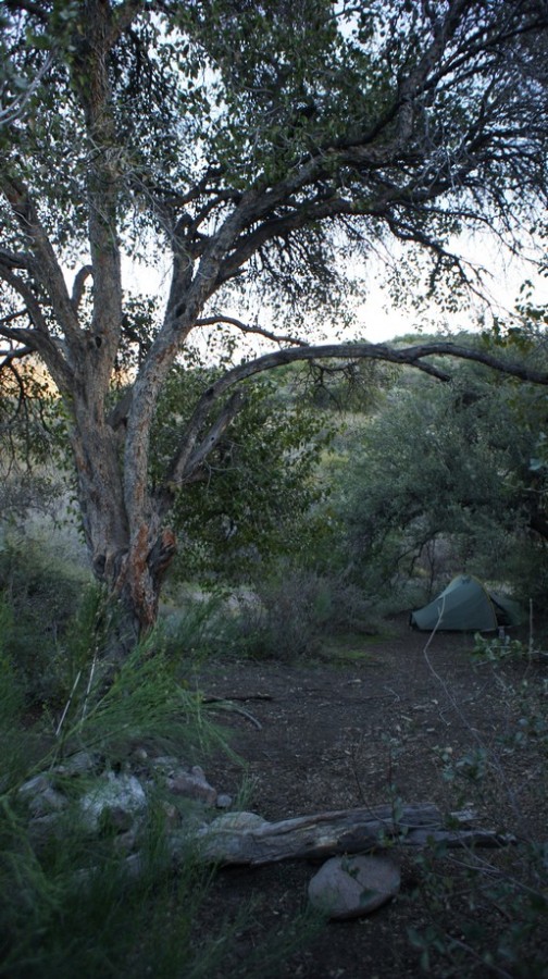 here's what one of the campsites at buff springs looks like