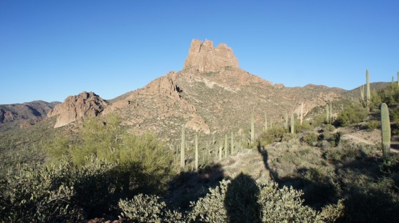 view from the coffee flat trail