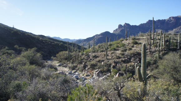 randolph canyon junction with jf trail