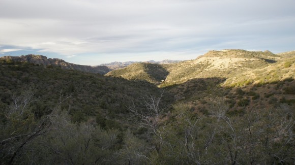 northern end of the reavis ranch trail