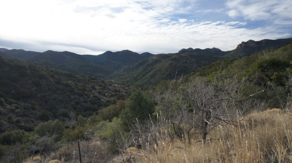 View From The Frog Tanks Trail Near Plow Saddle