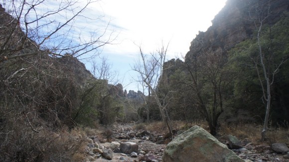 view from the bottom of rogers canyon