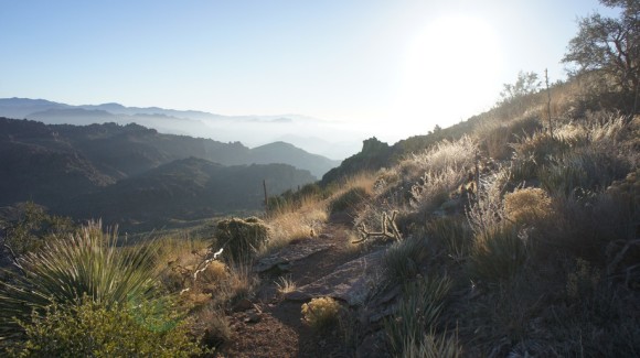 morning on the superstitiotn ridgeline trail