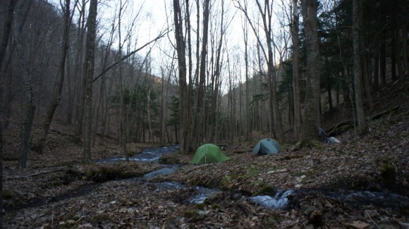 campsite along little slate run - black forest trail, pa