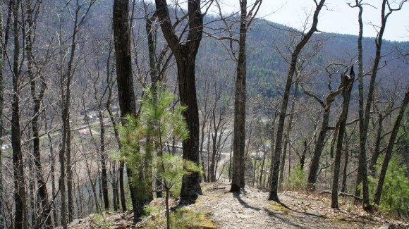 a view of pine creek and slate run from the black forest trail