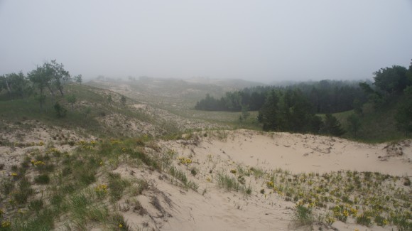 nordhouse dunes wilderness fog