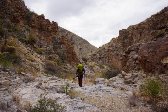 hiking through a canyon with red rocks in big bend