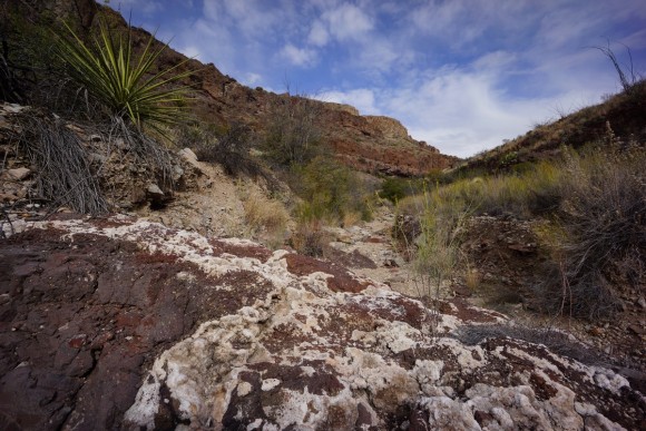 quartz veins running through rock in big bend national park