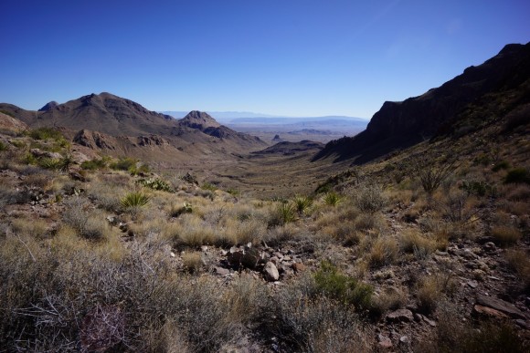 looking east/southeast from jack's pass in big bend national park