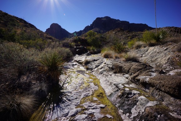 a picture of water flowing over rocks from dominguez spring in big bend national park