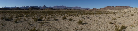 Big Bend Desert Panaorma