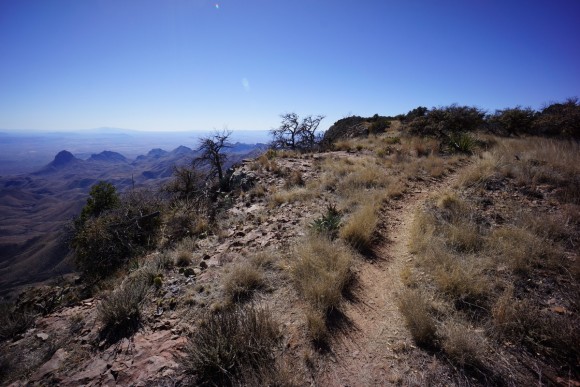 the south rim trail skirts the edge of the south rim in big bend national park