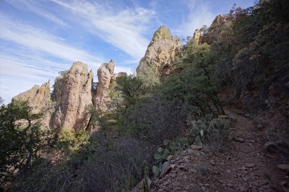 hiking the pinnacles trial in the chisos mountains