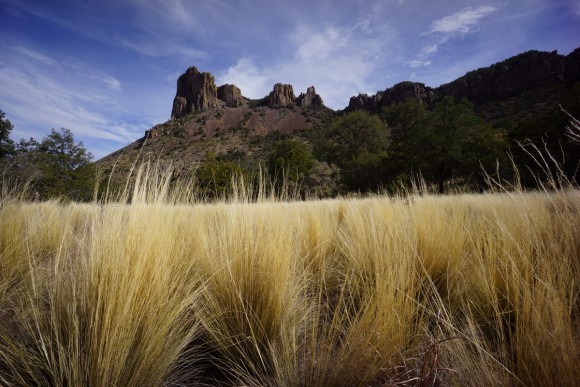 casa grande with golden grass in foreground in the chisos basin