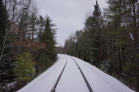 railroad tracks in forest in michigan during winter